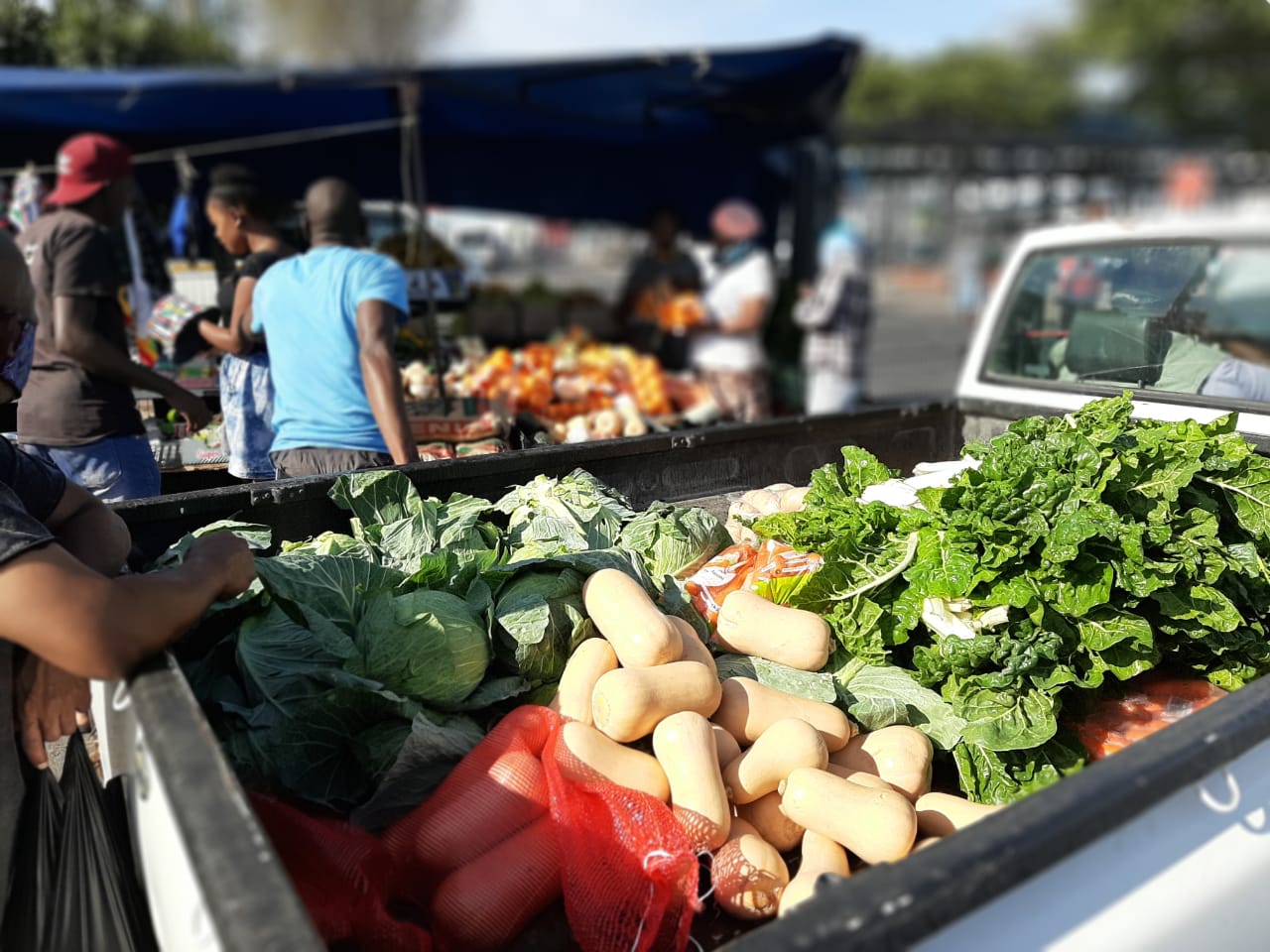 Invisible Urban Farmers and a Next Season of Hunger