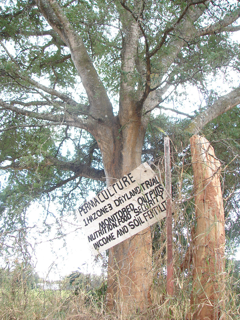 Food Sovereignty as Freedom