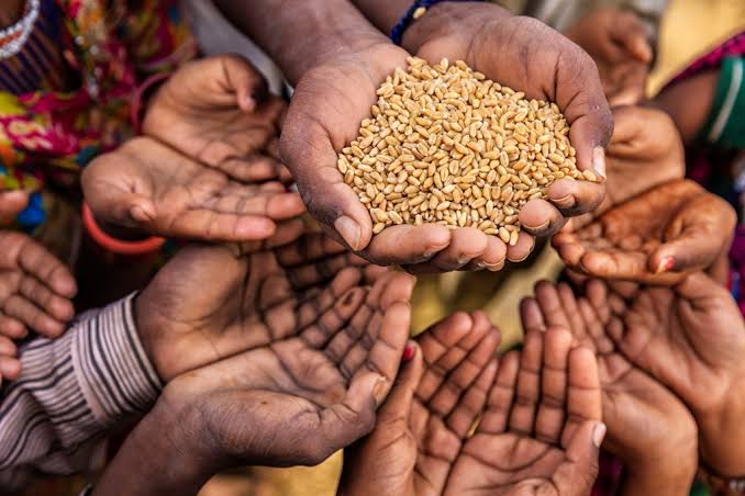 The United Nations Decade of Action on Nutrition and the instructive lessons that can be drawn from FAO’s 1960s Freedom from Hunger Campaign