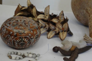 Seeds from the Street to the Seas