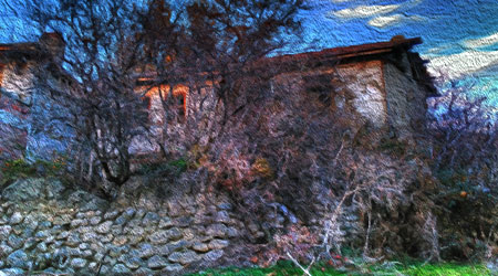 home-in-woods